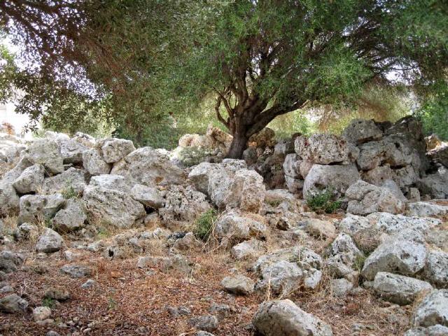 Mallorca - Sant Llorenç des Cardassar