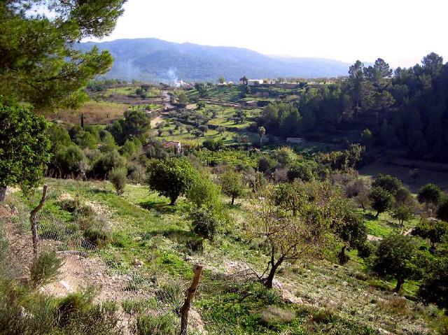 Mallorca - Calvià