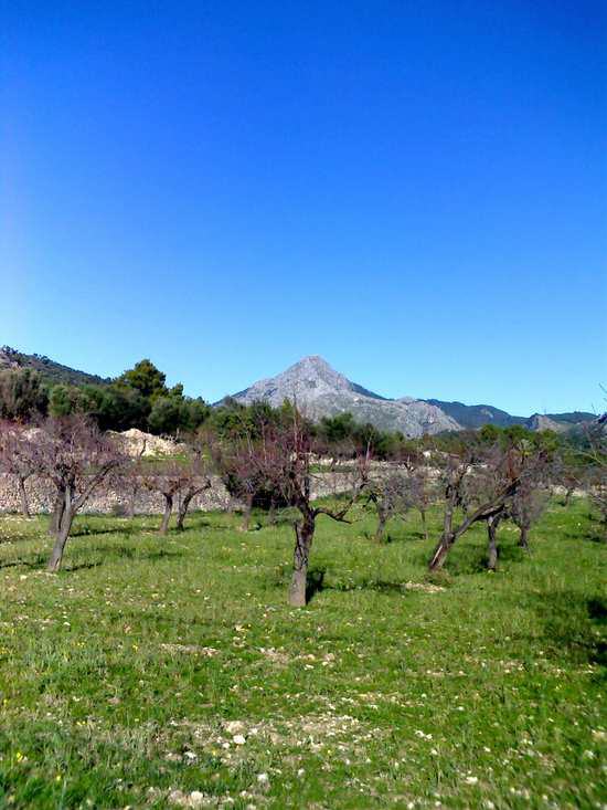 Mallorca - Calvià