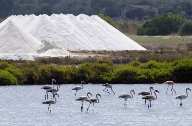 Mallorca - Ses Salines