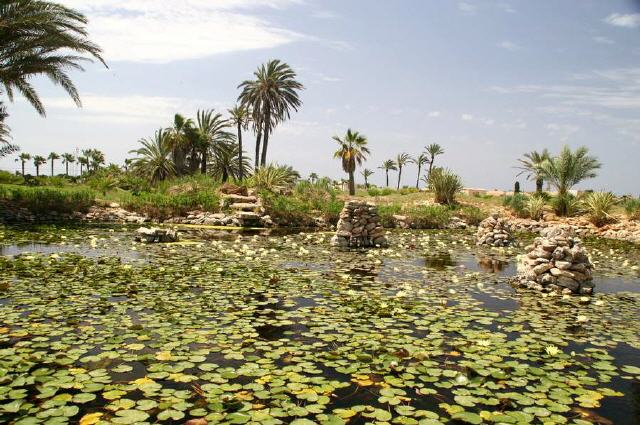 Mallorca - Ses Salines