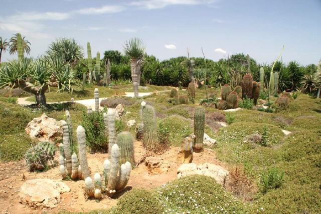 Mallorca - Ses Salines