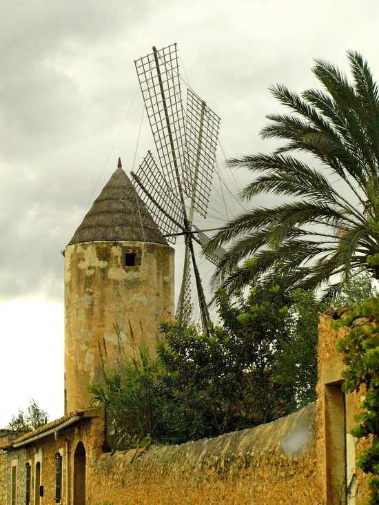 Mallorca - Binissalem