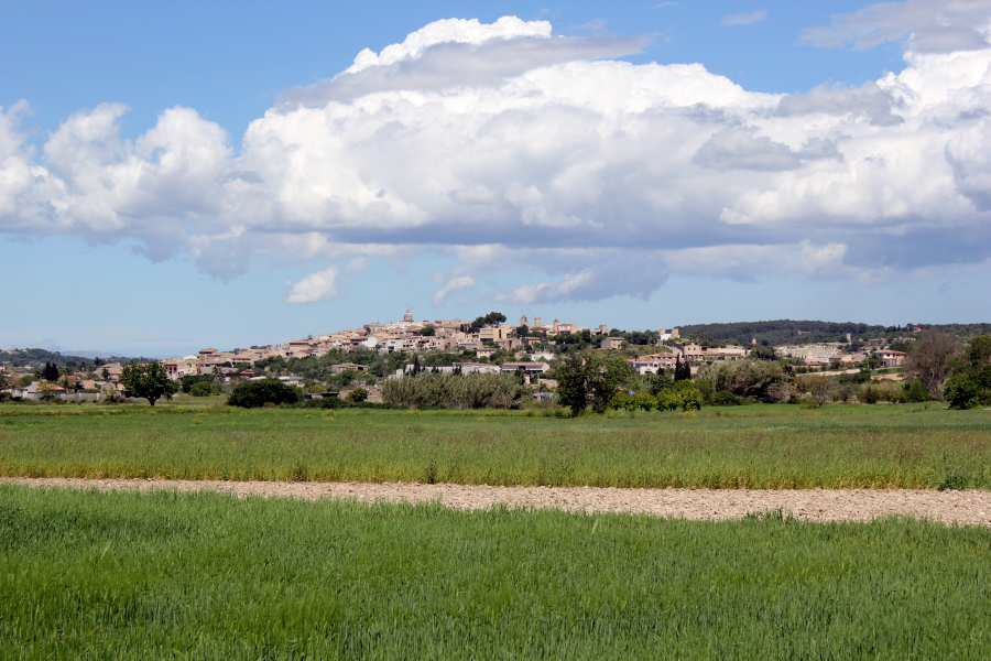 Mallorca - Monturi