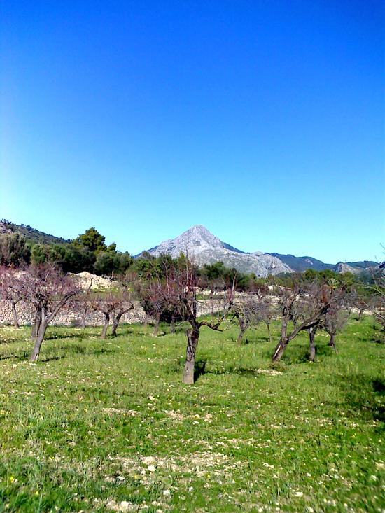 Mallorca - Puigpunyent