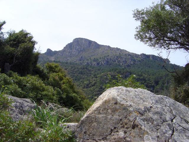 Mallorca - Puigpunyent
