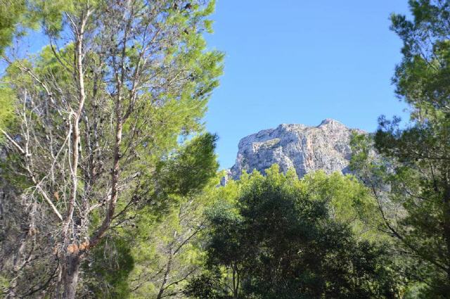 Mallorca - Naturpark Serres de Llevant