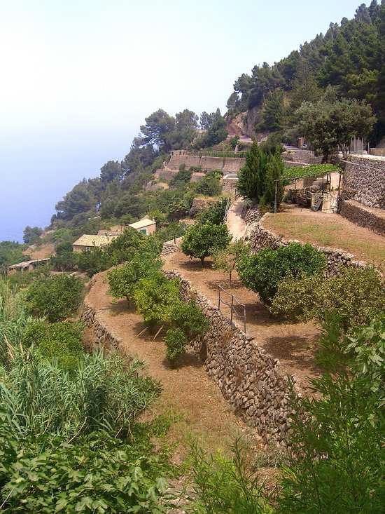 Mallorca - Estellencs