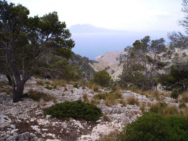 Mallorca - Cap de Formentor