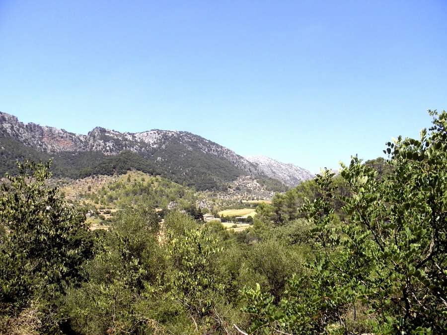 Mallorca - Orient