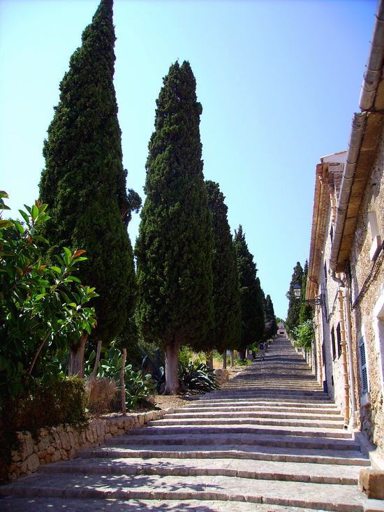 Mallorca - Pollença