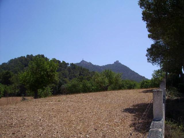 Mallorca - Felanitx