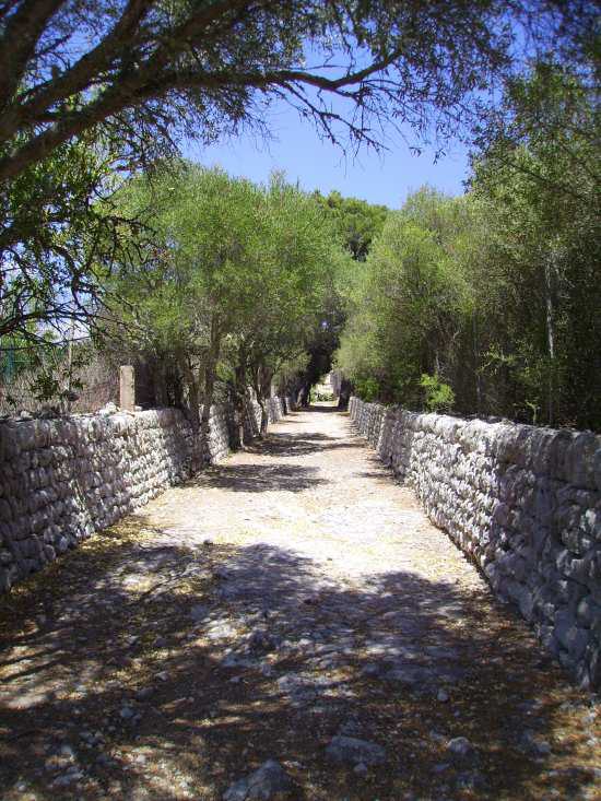 Mallorca - Montuïri