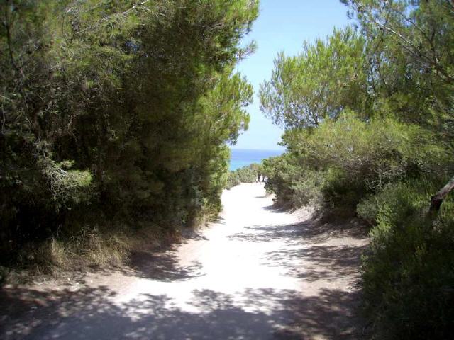 Mallorca - Sant Llorenç des Cardassar