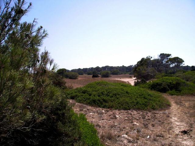 Mallorca - Sant Llorenç des Cardassar