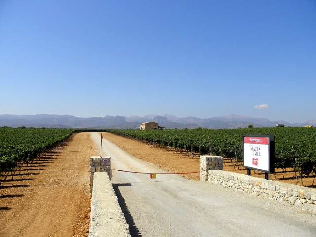 Mallorca - Santa María del Camí