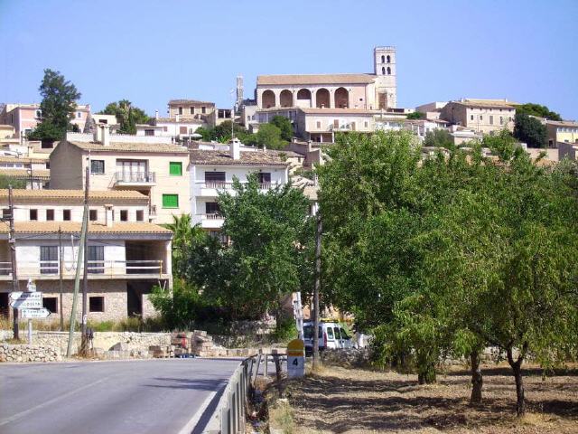 Mallorca - Selva