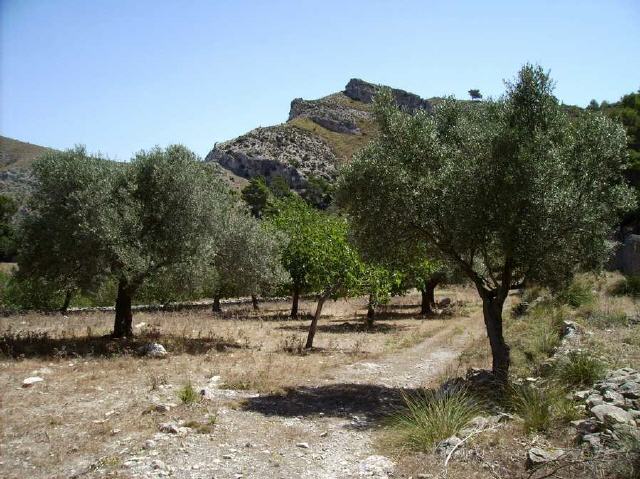 Mallorca - Naturpark Serres de Llevant