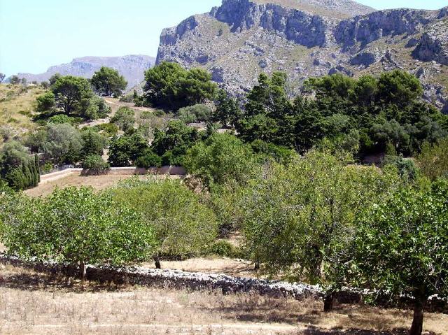 Mallorca - Naturpark Serres de Llevant