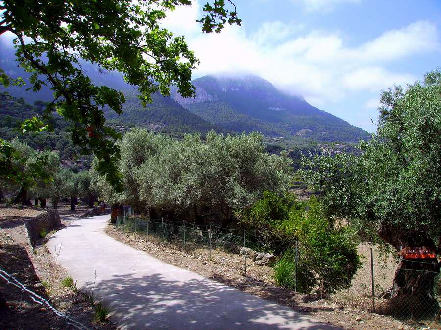 Mallorca - Son Marroig